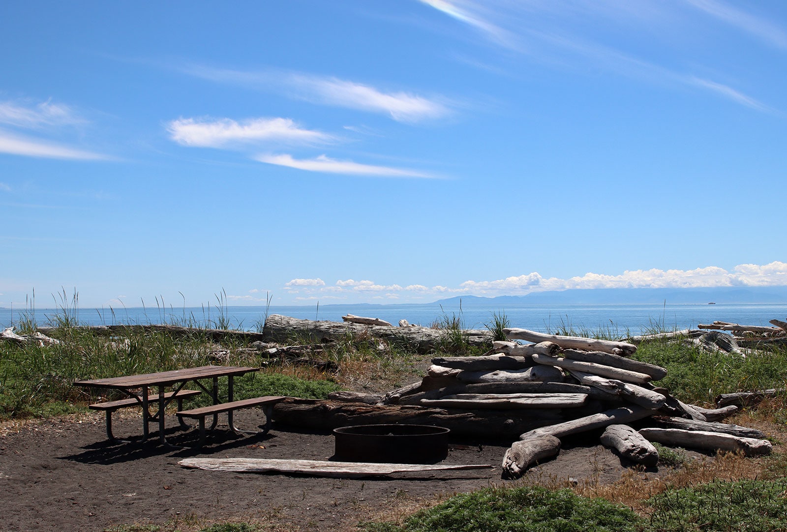 Fire pit and picnic table surrounded by drift wood