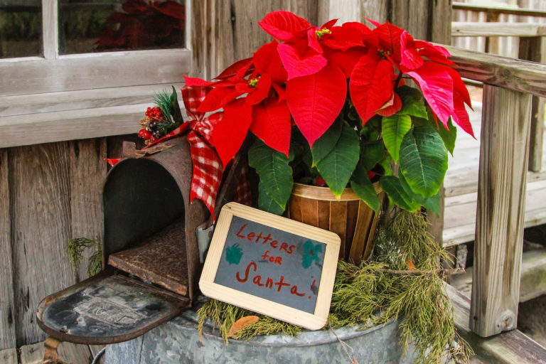 Letters for Santa sign next to a mailbox and poinsettia