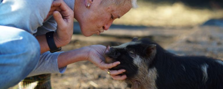 woman squatting down and making a kissing gesture towards a small pig