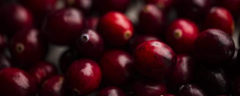 close up of cranberries