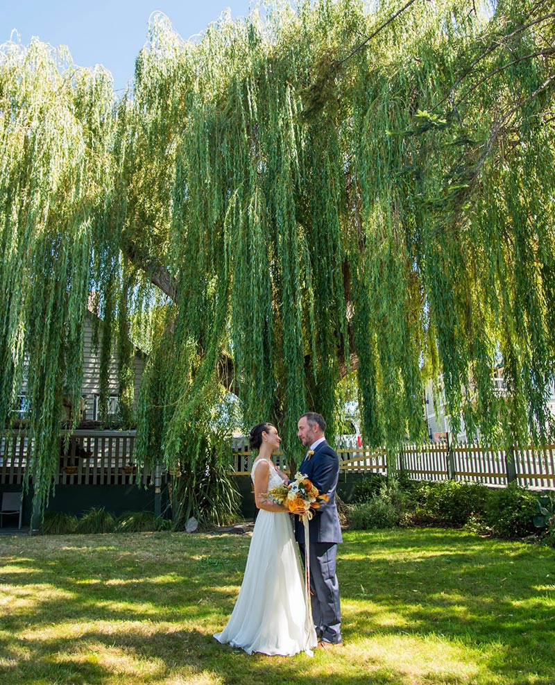 Bride and groom standing on a green lawn under a willow tree