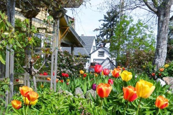tulips in bloom along a residential street