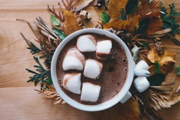 view from above a mug of cocoa topped with marshmellows