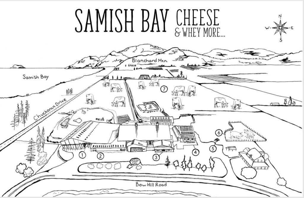 Skagit Valley's Samish Bay Cheese