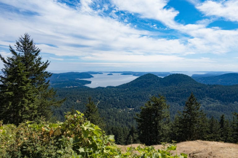 Stunning San Juan Island Hikes To Take This Summer