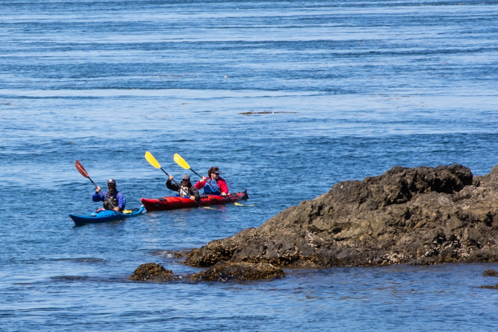 Kayaking at Lime Kiln Point State Park near our Bed and Breakast, which is one of the best places to stay in Washington State