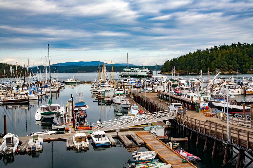 Things to do in Friday Harbor