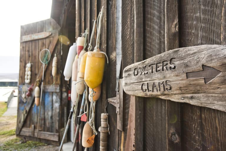 wooden side of a barn with fishing equipment hanging and a sign for oysters and clams