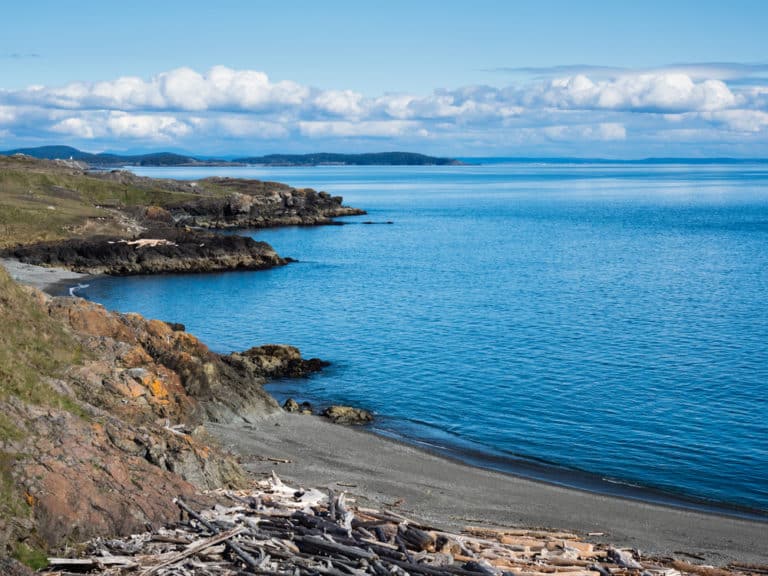 Join us at our Friday Harbor Bed and Breakfast and explore the best San Juan Island Hikes