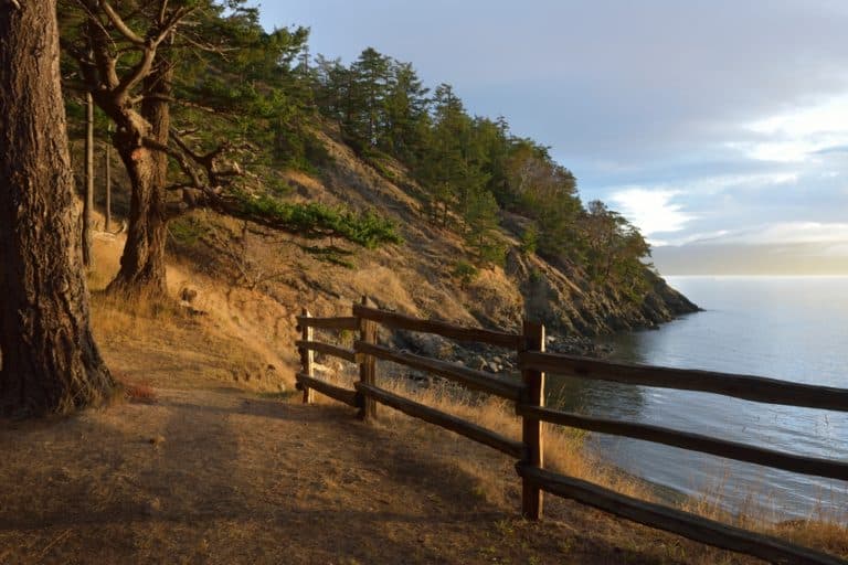 Best Time to Visit the San Juan Islands, photo of a pretty hike on San Juan Island near our Friday Harbor lodging