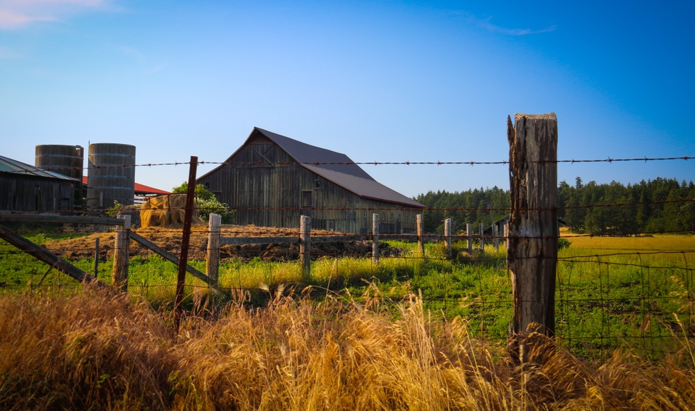 San Juan Island Farm Tours / Things to do on San Juan Island for Food Lovers