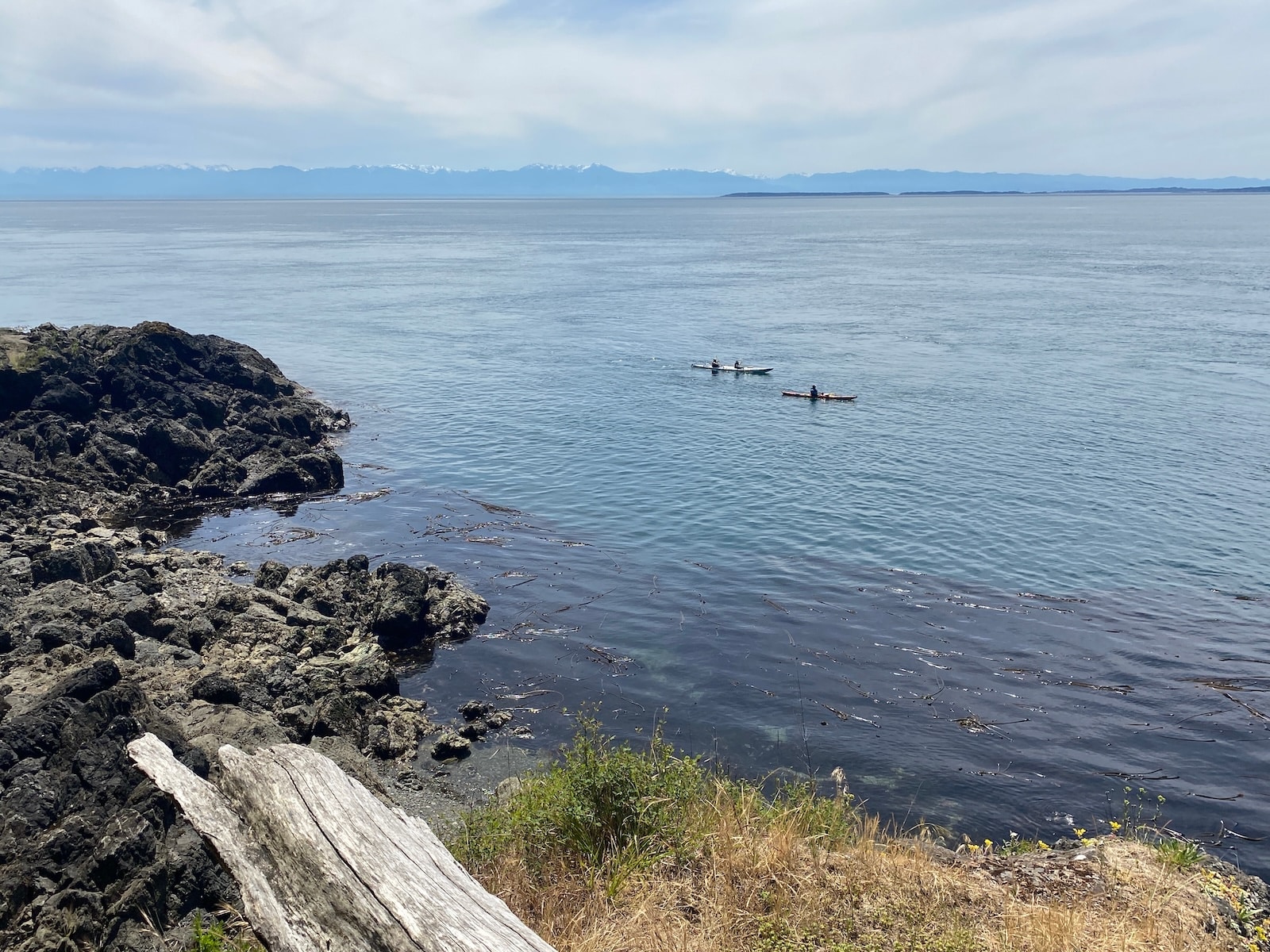 People kayaking offshore at Lime Kiln Point State Park